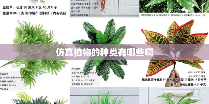 仿真植物的种类有哪些啊
