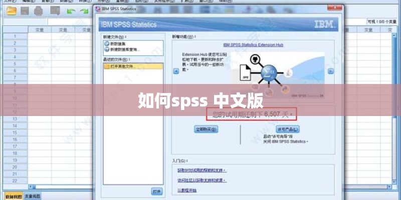如何spss 中文版