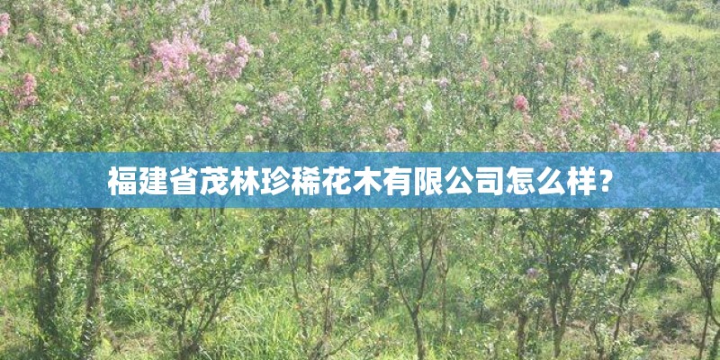 怎么养花会越来越美