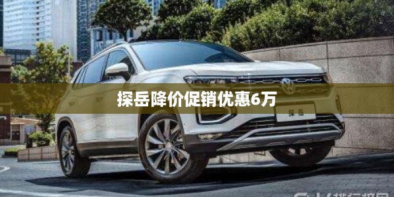 探岳降价促销优惠6万