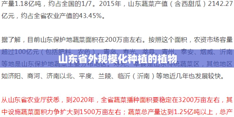 全球鹰远景的介绍