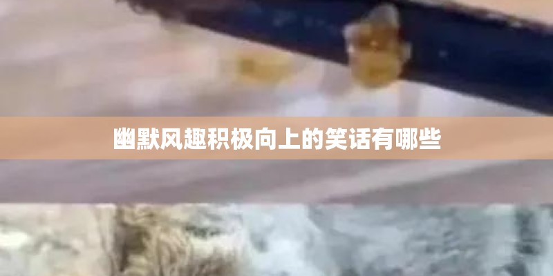 幽默风趣积极向上的笑话有哪些 幽默风趣积极向上的笑话有哪些