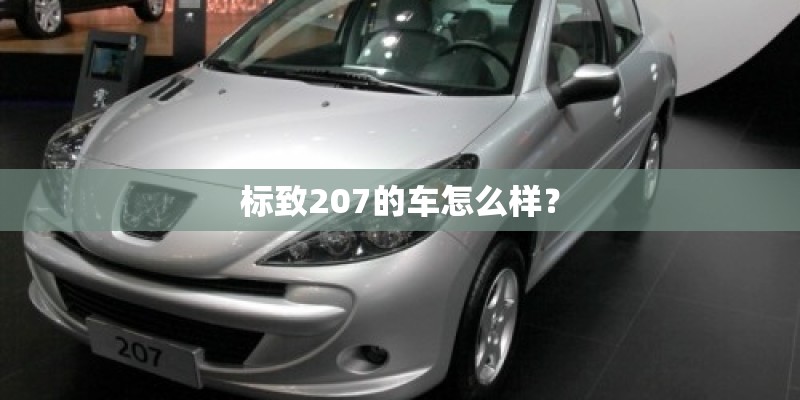 万年青与冬青有何区别