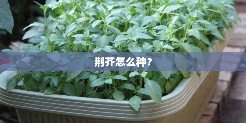 二本考研西南财经大学有多难