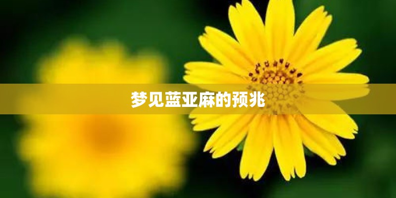 梦见蓝亚麻的预兆