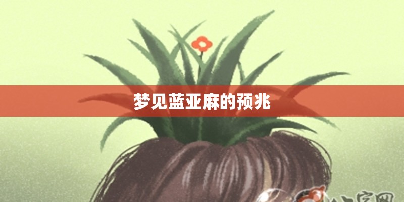 有哪些藤蔓类植物适合做农家乐和休闲农庄的小品景观？