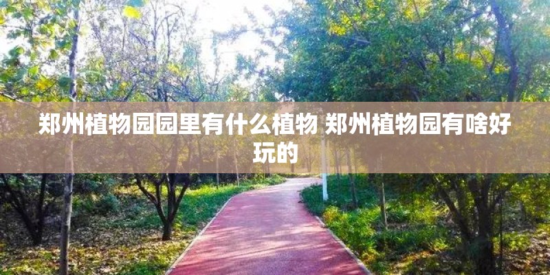 映山红盆景花好养吗