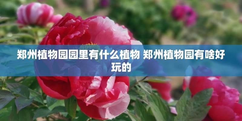 郑州植物园园里有什么植物 郑州植物园有啥好玩的