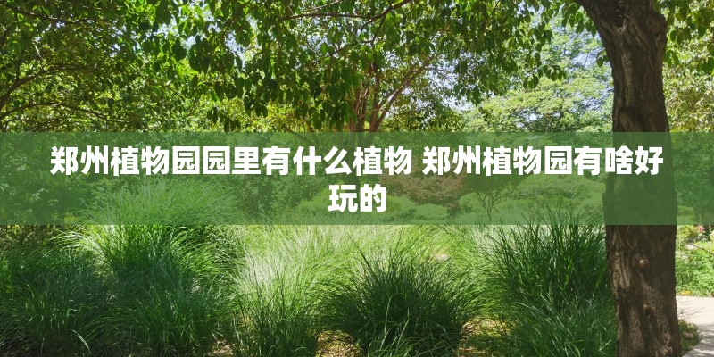 郑州植物园园里有什么植物 郑州植物园有啥好玩的