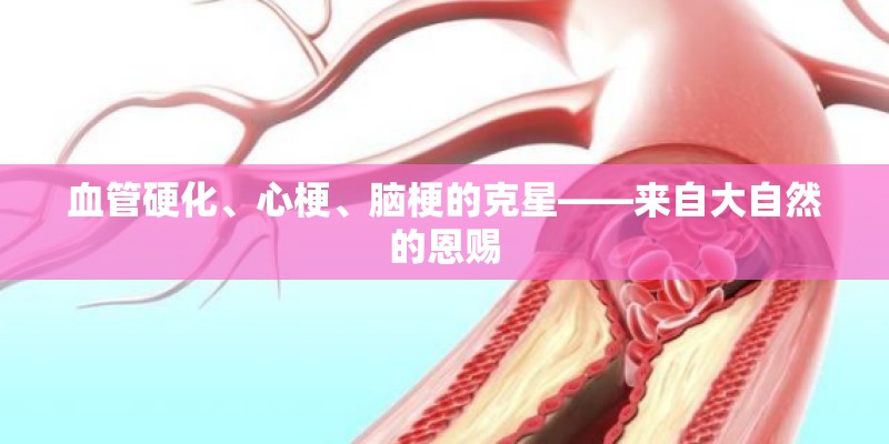 血管硬化、心梗、脑梗的克星——来自大自然的恩赐