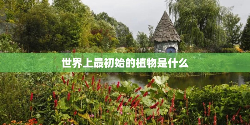 世界上最初始的植物是什么