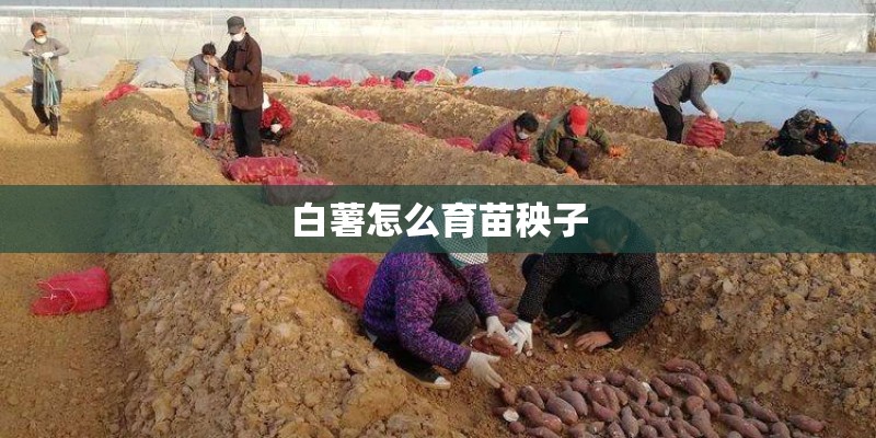 怎么给格言、读者、意林、青年文摘、故事会等刊投稿