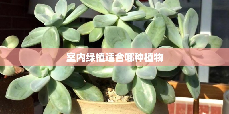 电脑耗材包括哪些？