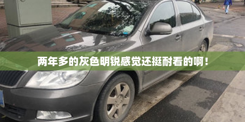 室内绿植适合哪种植物