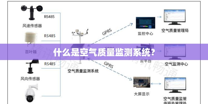 院子里的新物种植物