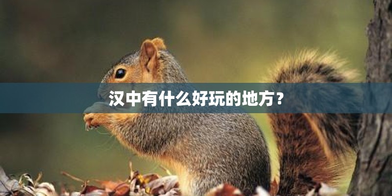 汉中有什么好玩的地方？