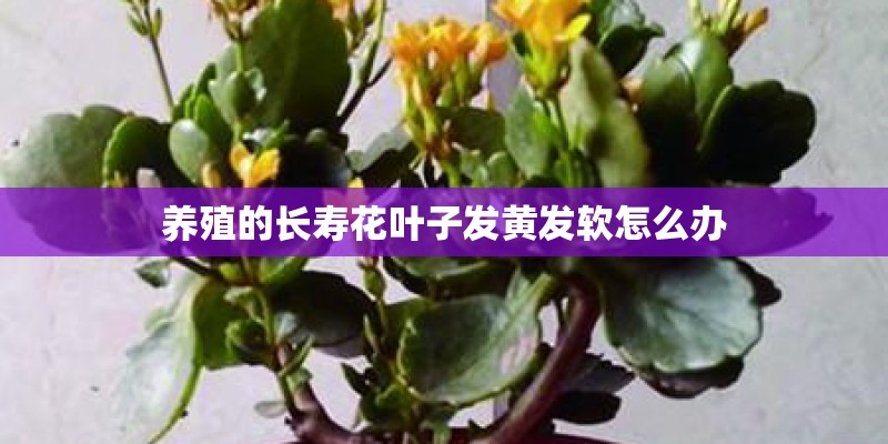 什么是空气质量监测系统？
