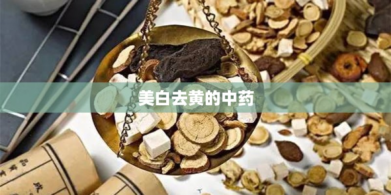 美白去黄的中药