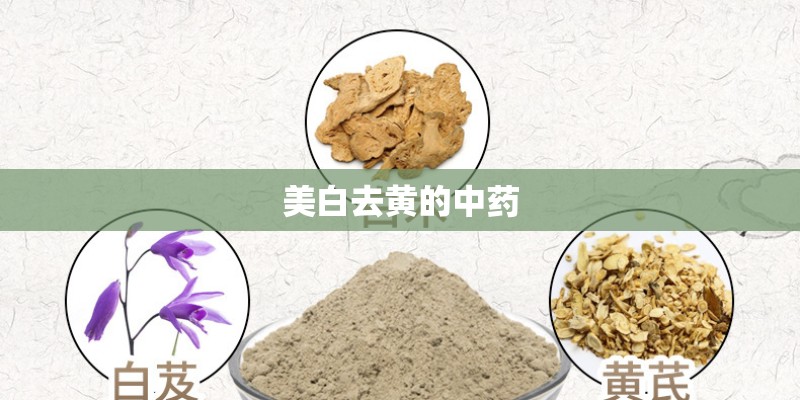 美白去黄的中药