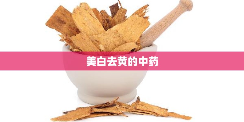 美白去黄的中药