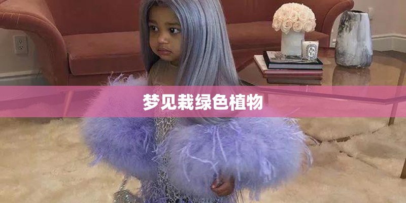 梦见栽绿色植物