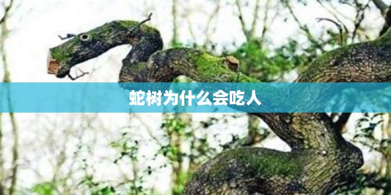 社会科学报社会科学报是什么级别的刊物