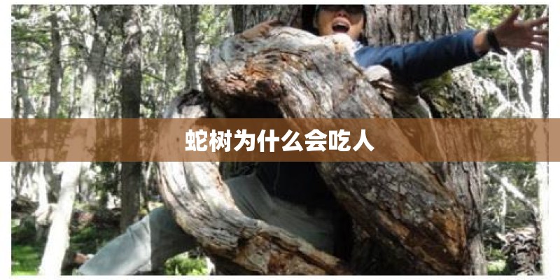 蛇树为什么会吃人