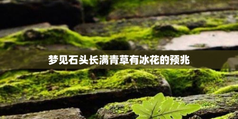 蛇树为什么会吃人