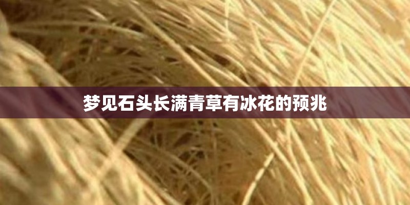 梦见石头长满青草有冰花的预兆 梦见石头长满青草有冰花的预兆