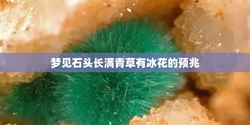 梦见石头长满青草有冰花的预兆 梦见石头长满青草有冰花的预兆