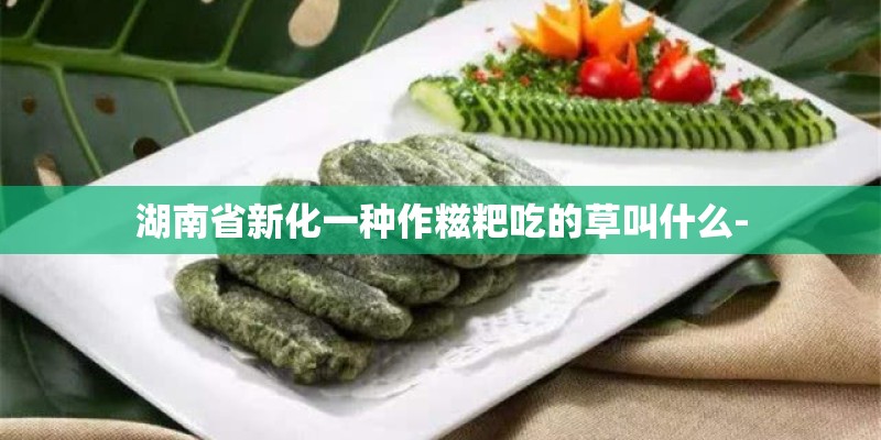 湖南省新化一种作糍粑吃的草叫什么-