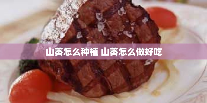 心理学参考文献