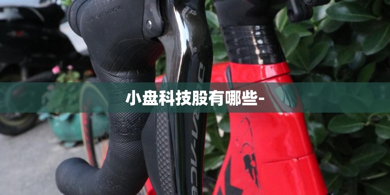 小盘科技股有哪些-