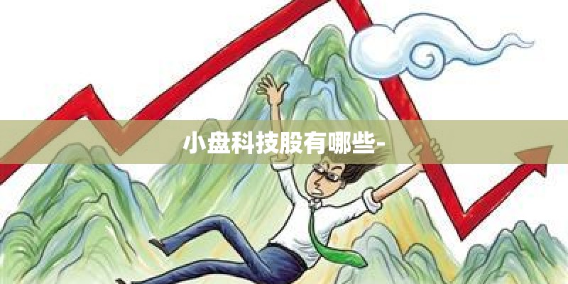 小盘科技股有哪些-