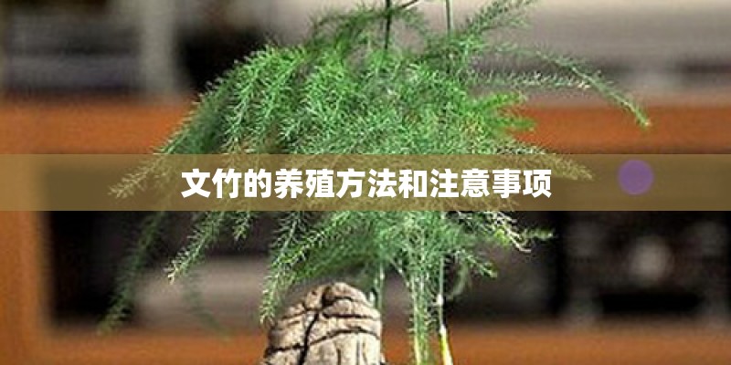 中世纪大学教育和现代大学教育的区别？