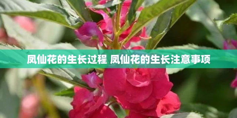 科技龙头股排名前十