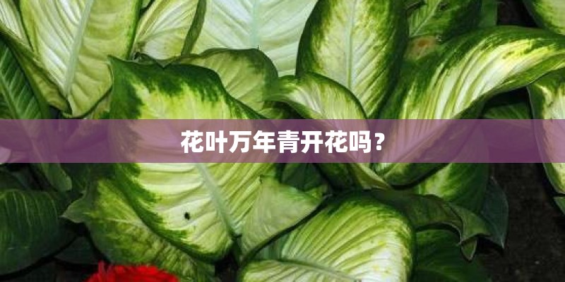 湖北师范大学的学术研究
