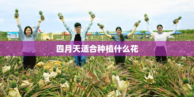 上海招商局大厦里有哪些公司-