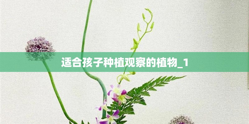 适合孩子种植观察的植物_1