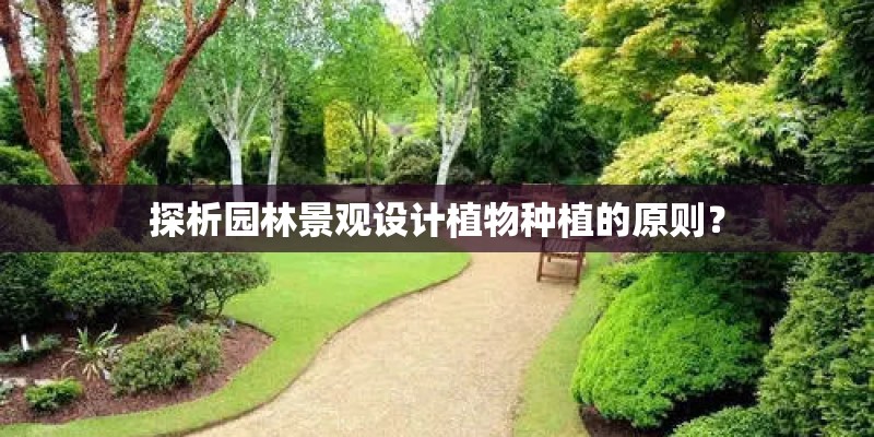 花叶万年青开花吗？