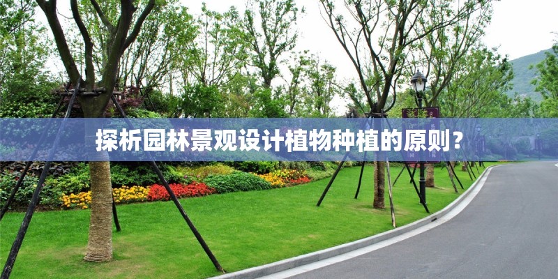 探析园林景观设计植物种植的原则？