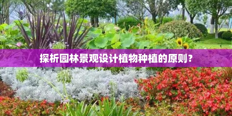 探析园林景观设计植物种植的原则？