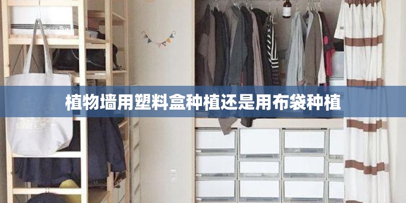 艾条含量越高效果越好吗