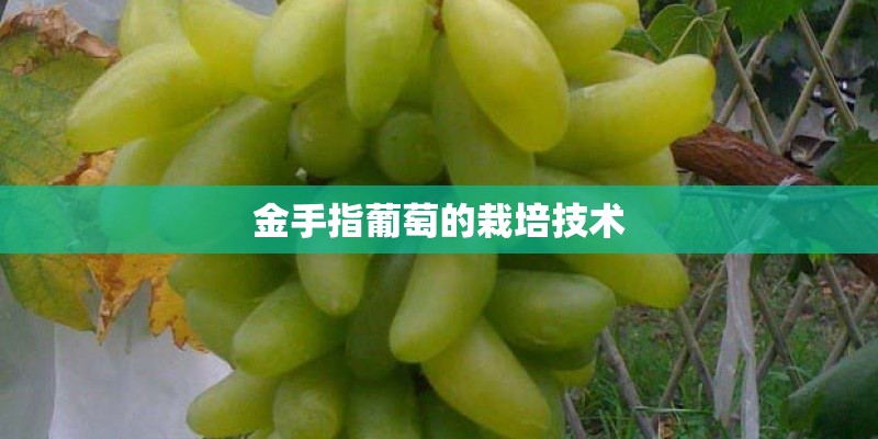 大连万科翡翠春晓产权年限多少年？