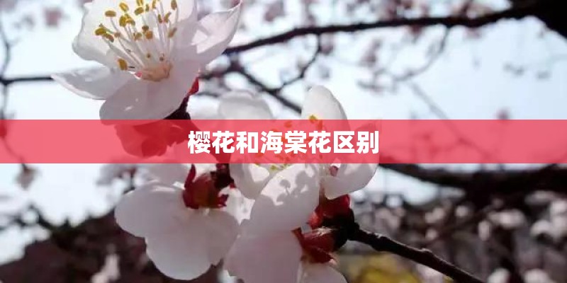 胖子减肥哪些豆制品可以吃